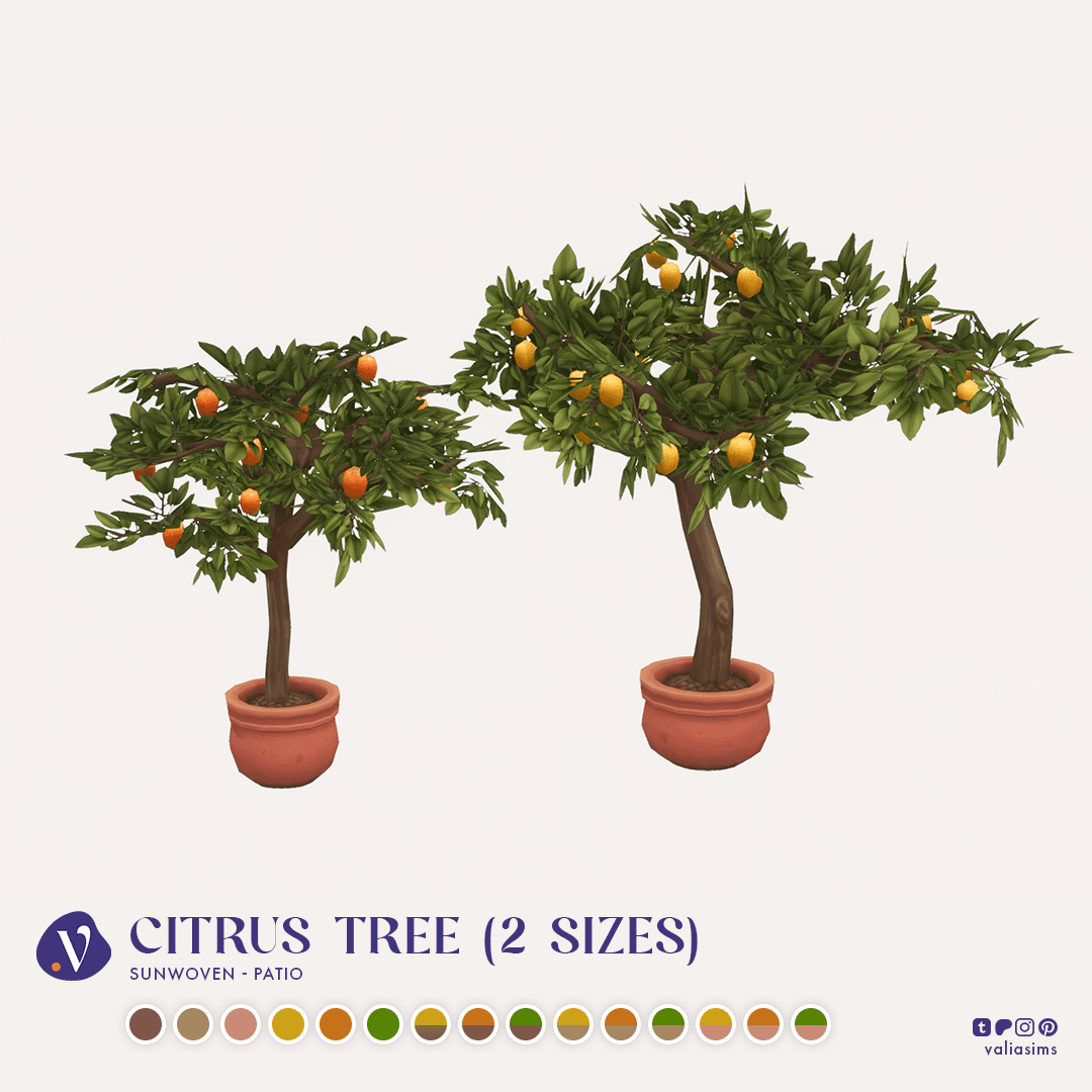 Галерея мода Набор для патио Sunwoven - Patio #3